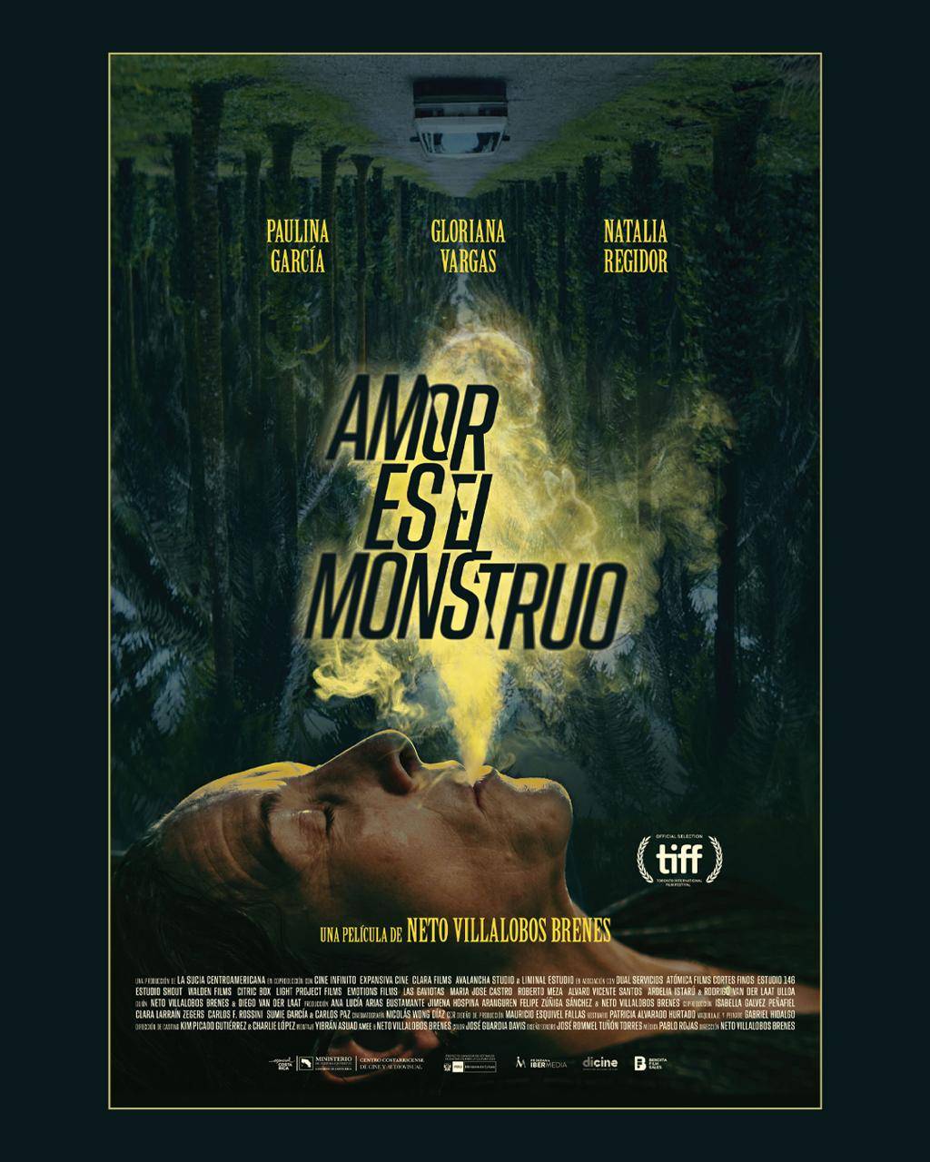 Afiche de la película